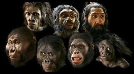 What if we could make masks to look like these models in the Natural History Museum's Hall of Human Origins?