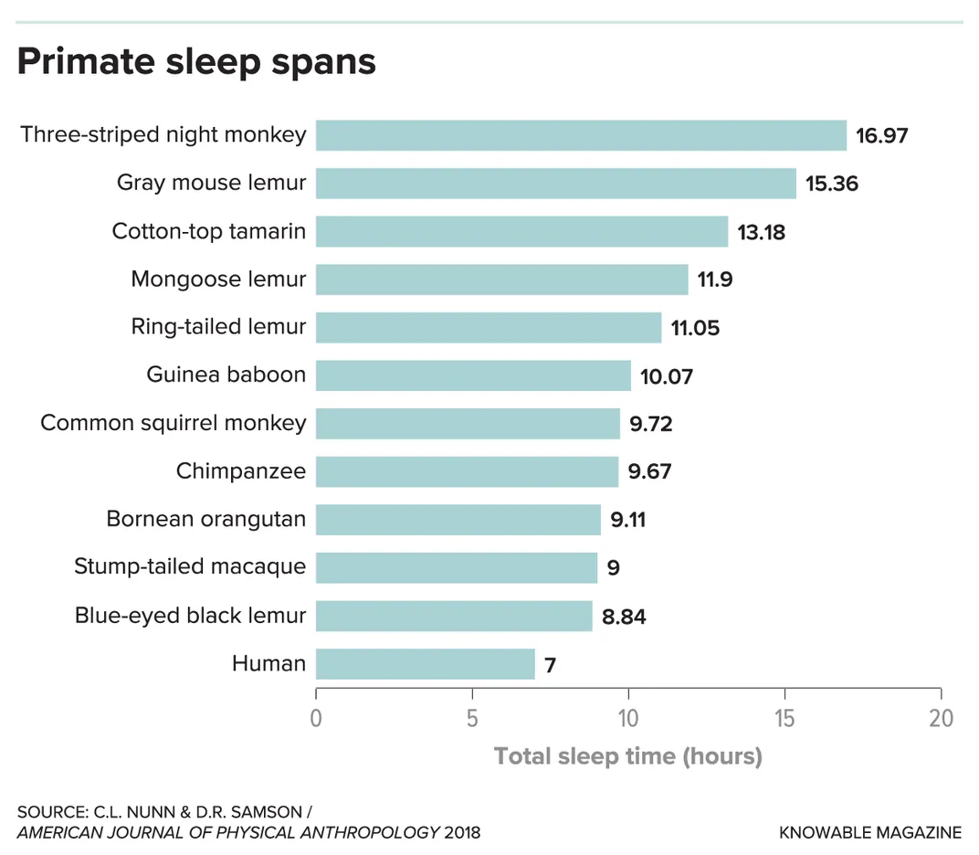 Gráfico de períodos de sono de primatas