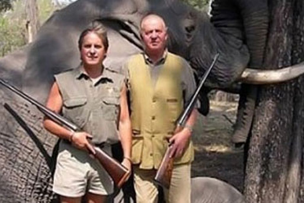 Elephant-Spainsh-King-Juan-Carlos-web.jpg