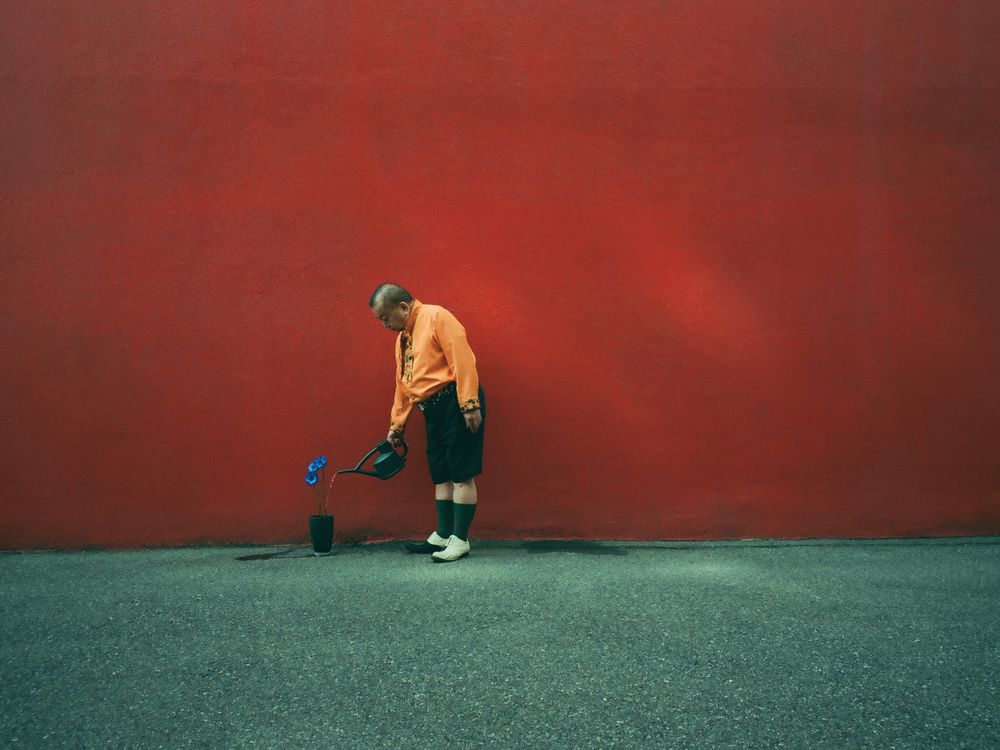 LIFE composition1 | Smithsonian Photo Contest | Smithsonian Magazine