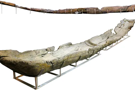 Made from alder wood, this canoe was thought to have been a fishing boat.&nbsp;