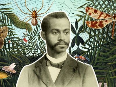 Researchers are rediscovering the forgotten legacy of Charles Henry Turner.