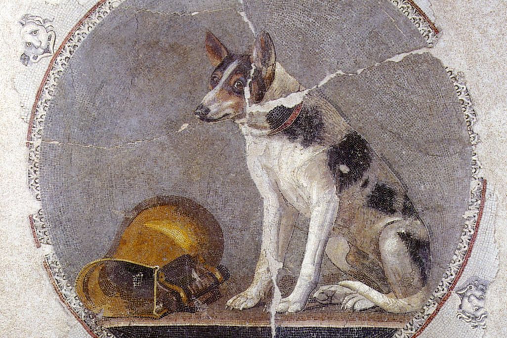 Photo of a second century mosaic from Egypt that depicts a dog with white fur and black and brown spots on its back and face standing to the right of a gold pitcher. The mosaic is in a circular shape, and outside the circle is crackled white tile from the