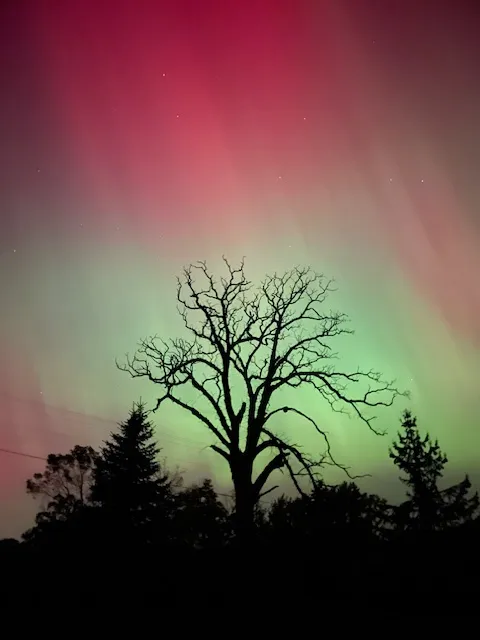 Northern Lights in my Backyard thumbnail