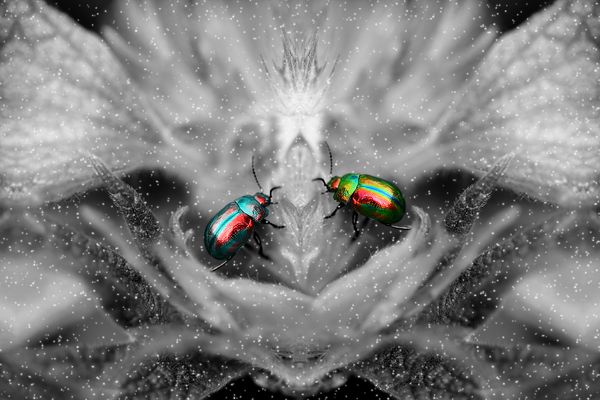 Always Together... thumbnail