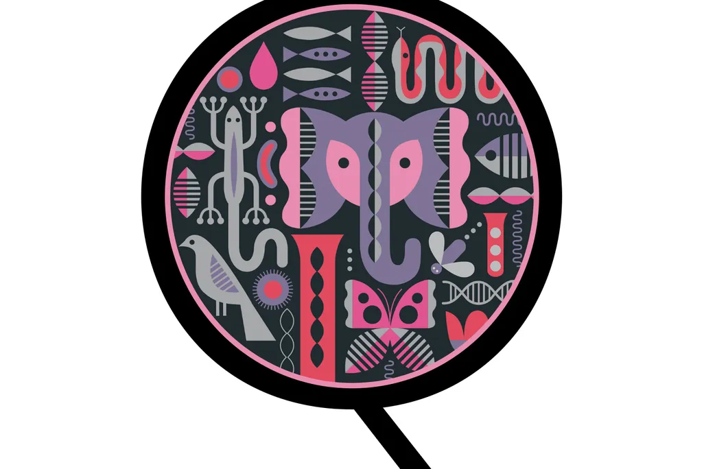 Ask illustration