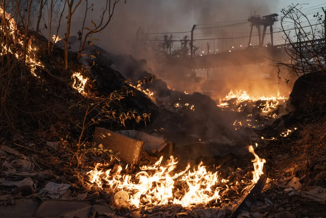 fire around trees at night