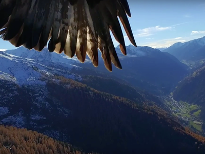 Screenshot from video "Phantom 3 get kidnapped by two eagles" 