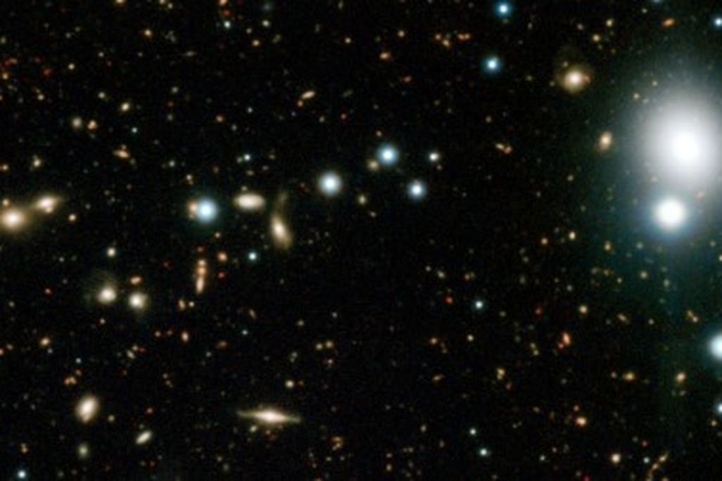 A selection of a new image of distant galaxies in the COSMOS field. Click to see the whole view.