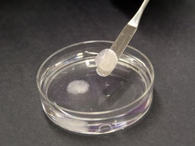 The team has applied for a patent for the material (shown here in a petri dish) and continues to test it at the micro- and nano-scale to better understand how it works.