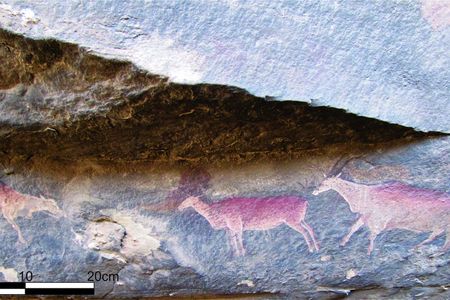 Later Stone Age paintings