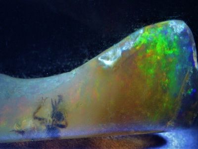 Gemologist Brian Berger purchased the Indonesian opal last year