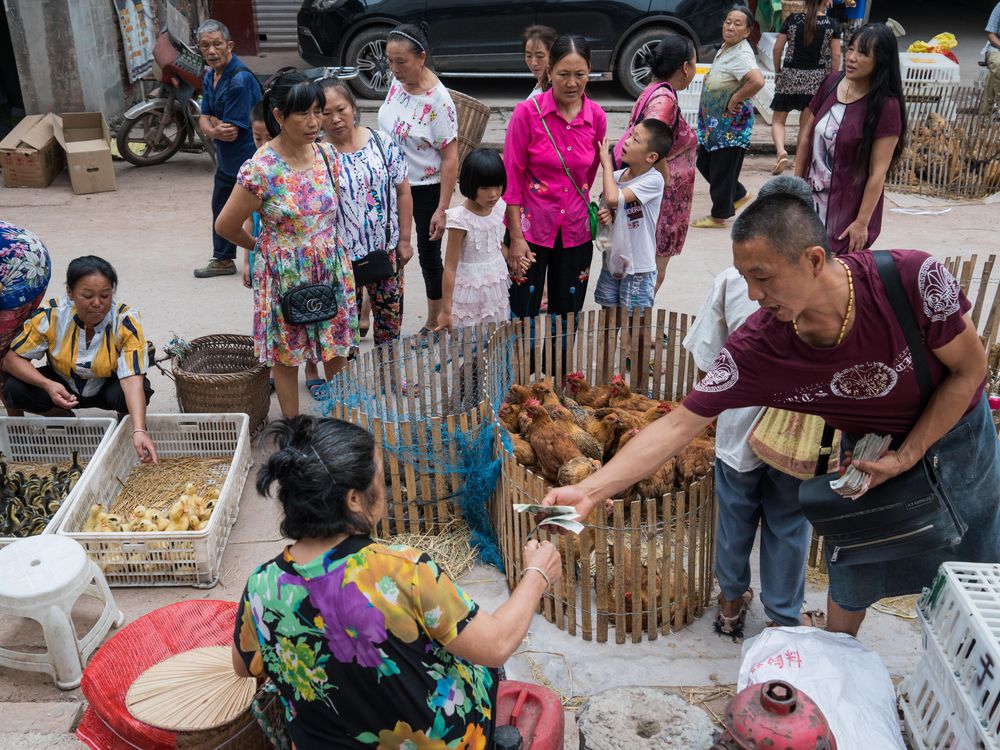 A woman sells live poultry