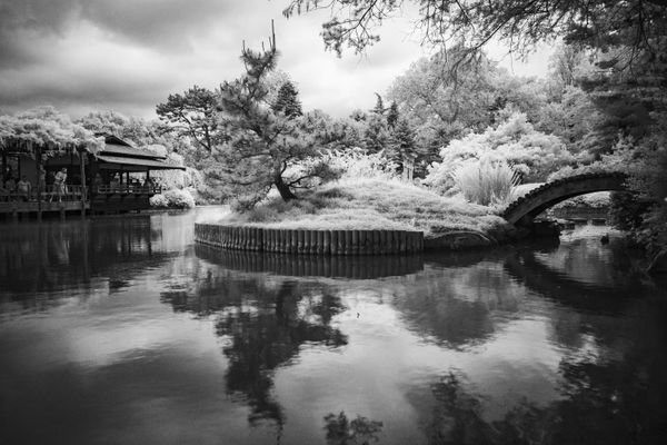 Japanese Hill-and-Pond Garden at the Brooklyn Botanical Garden thumbnail