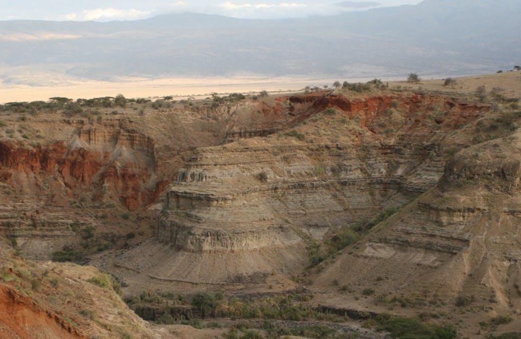 Cradle of Humankind