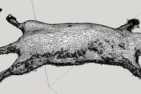 The founders of NecropSynth use SketchUp Pro to design the external shell of a 3D printed model of a rat.