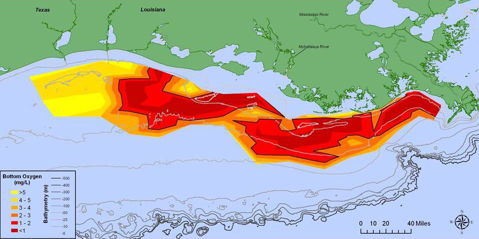 To grader livstid Pest Gulf of Mexico "Dead Zone" May Grow to the Size of New Jersey This Year |  Smart News| Smithsonian Magazine