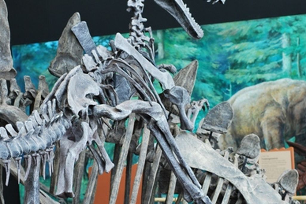 20110520083143chinasaurs-monolophosaurus-attack.jpg