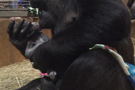 In the minutes after giving birth, 15-year-old Calaya cradled her newborn in her arms.