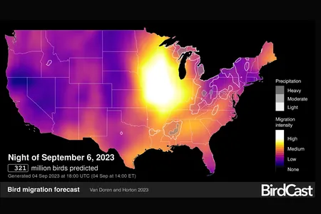 BirdCast&rsquo;s newest advances provide detailed flight forecasts of millions of birds.