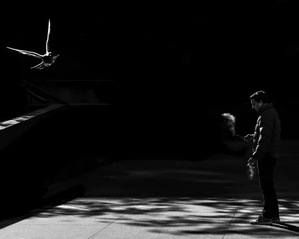 Smoke and Feather thumbnail