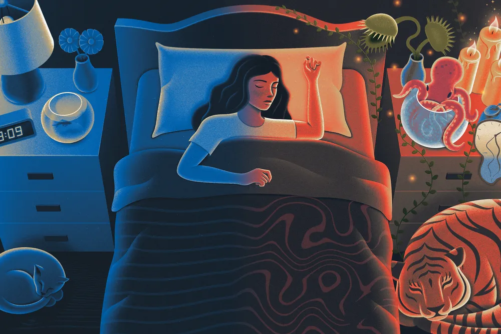 illustration of a person sleeping with a normal bedside table and cat on one side and a fantastical dream images, like a tiger and octopus, on the other side