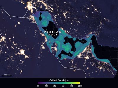 Because of shore development and its heavily populated coastal cities, the Persian Gulf was one of the areas with the most light pollution.