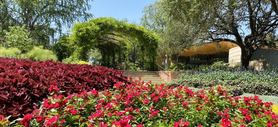  Formal gardens, San Antonio Botanical Gardens. Credit: San Antonio Botanical Gardens