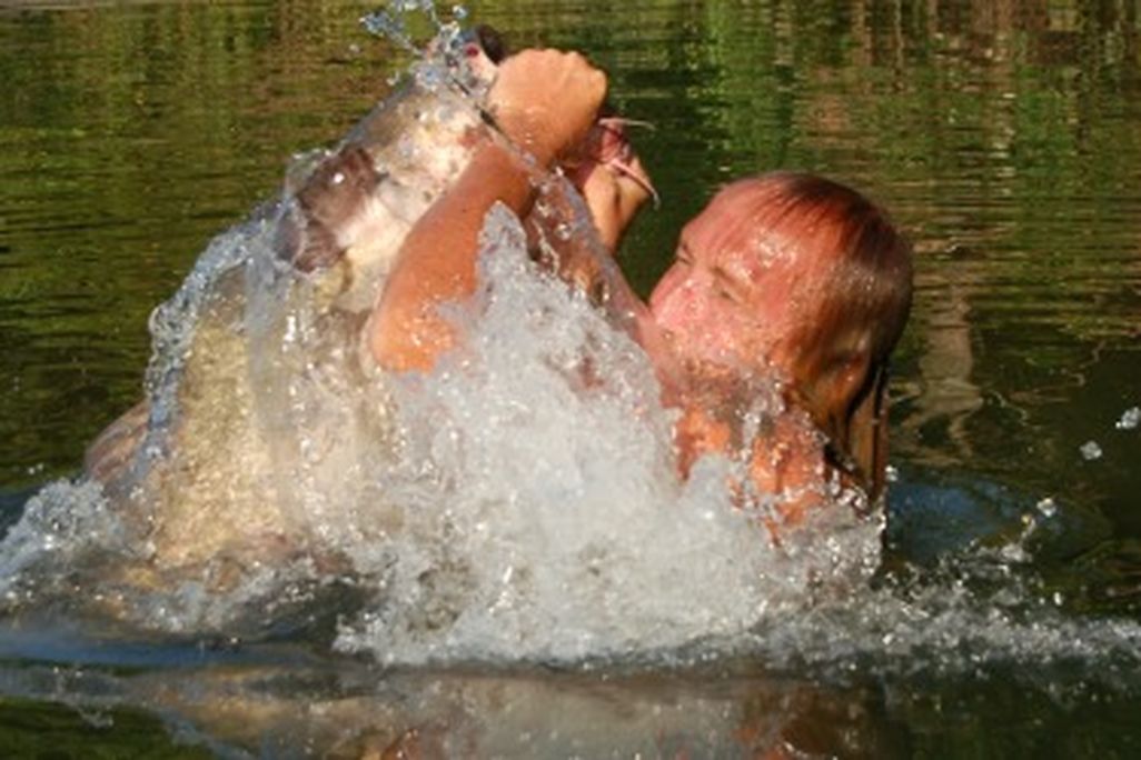 David Baggett, famed among noodlers, explodes from the water with a giant catfish in his hands.