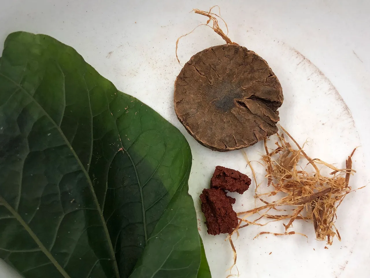 Were Humans in Thailand Getting High Off Betel Nuts 4,000 Years Ago?
