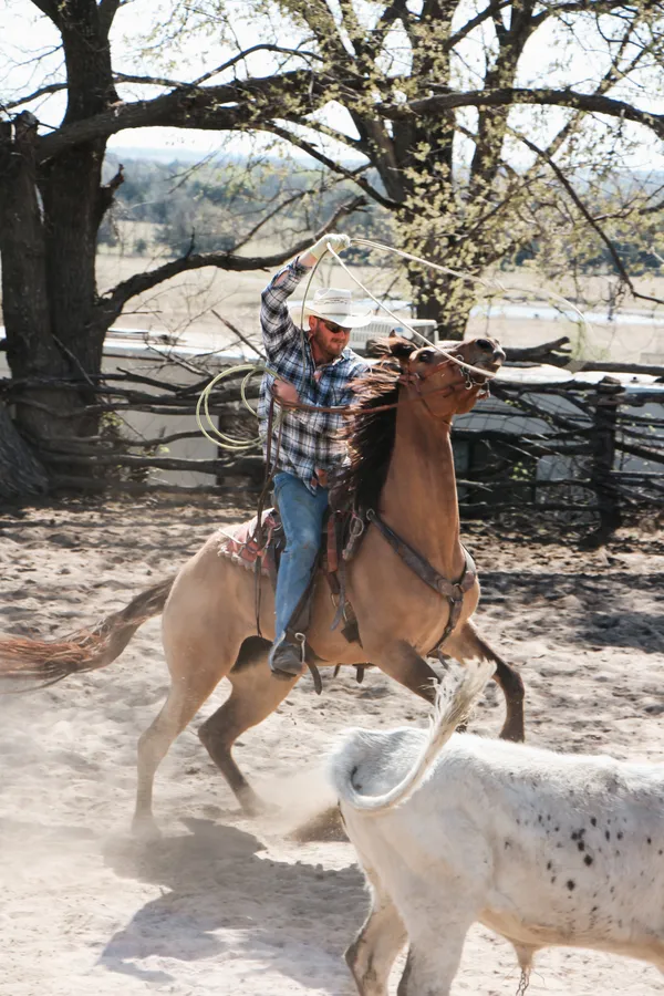 Rooted in the Rope thumbnail