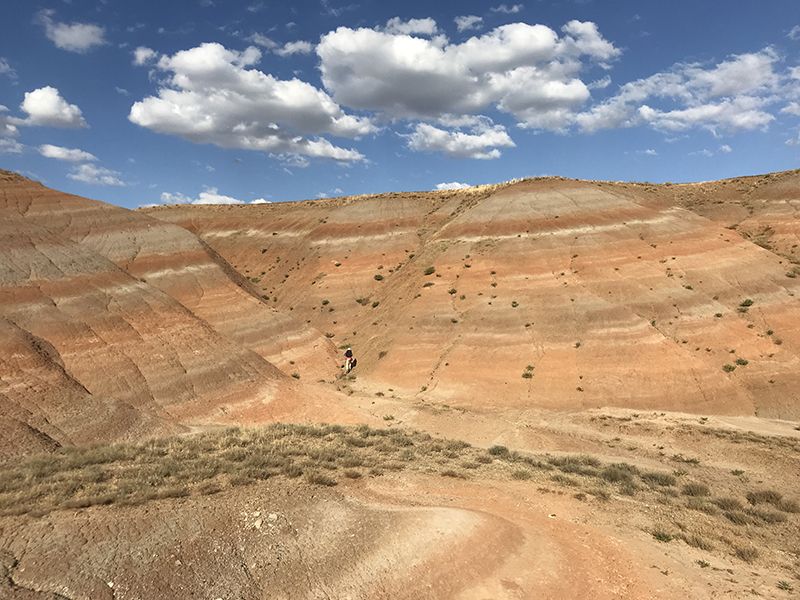 www.smithsonianmag.com