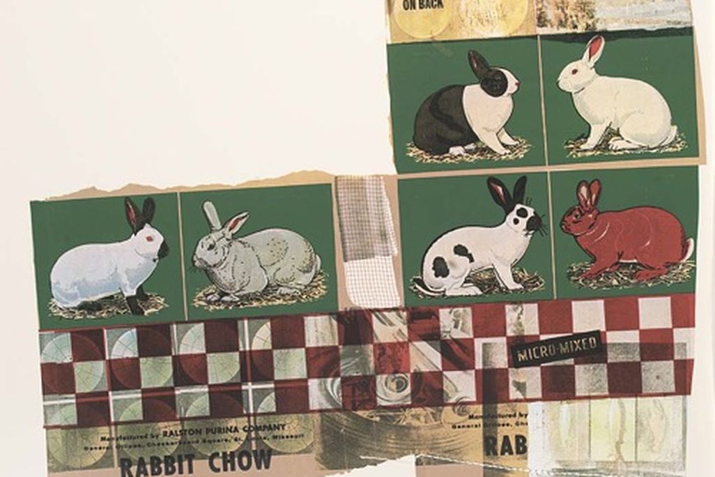 rabbitchow_AAM_nov19.jpg
