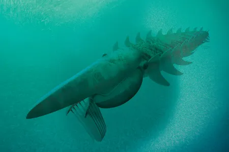 An artist's rendering of what the Aegirocassis benmoulae looked like.
