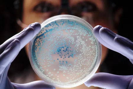 Scientists hope to make the process of producing engine-ready propane from E. coli bacteria commercially viable in 5 to 10 years.