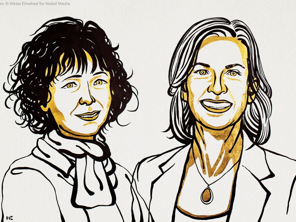 A black and yellow line drawing of the two Nobel laureates in chemistry. Emmanuelle Charpentier is on the left and Jennifer Doudna is on the right. 