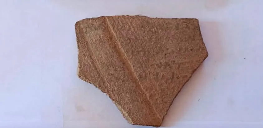 ostraca