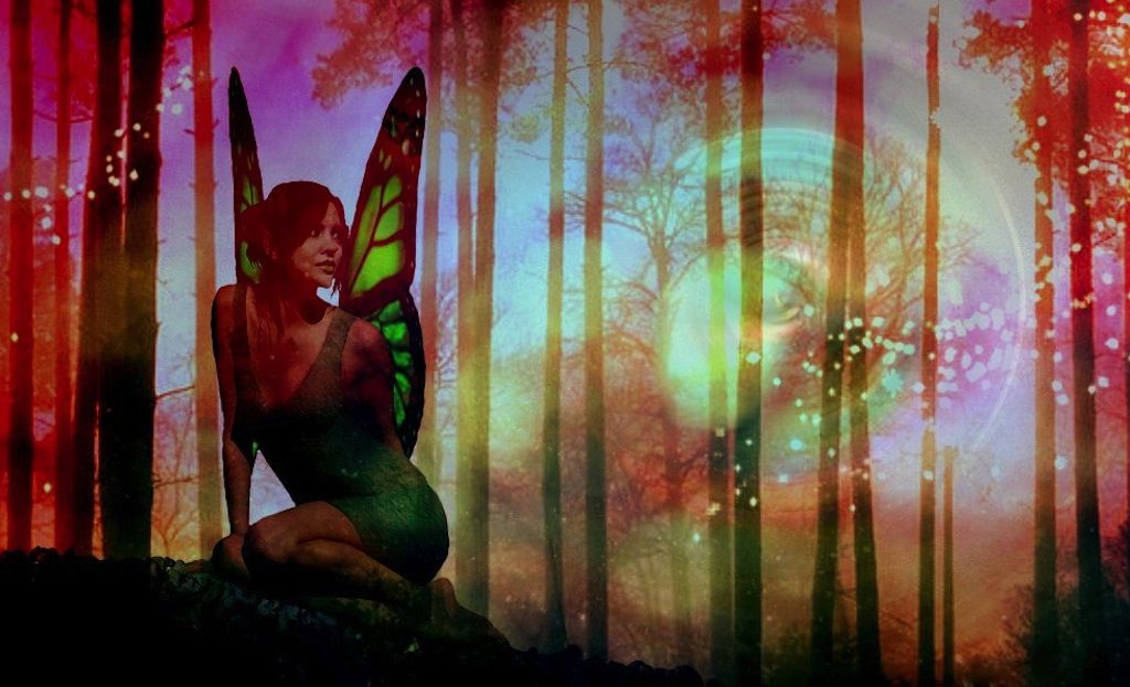 01-15-14-fairies.jpg