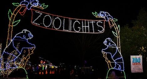 Nothing says Smithsonian cheer like ZooLights.