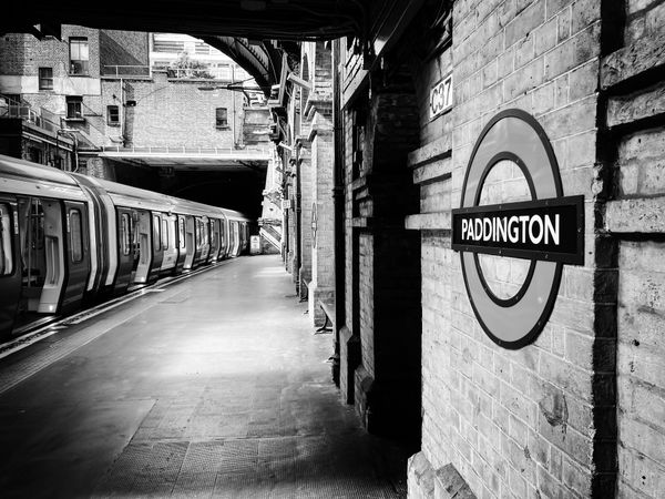 Paddington station, empty thumbnail