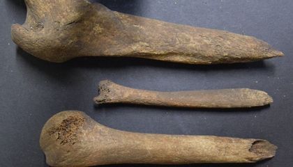 This Woman's Brains Were Scooped Out and Her Bones Were Broken and Whittled in Scotland 2,000 Years Ago
