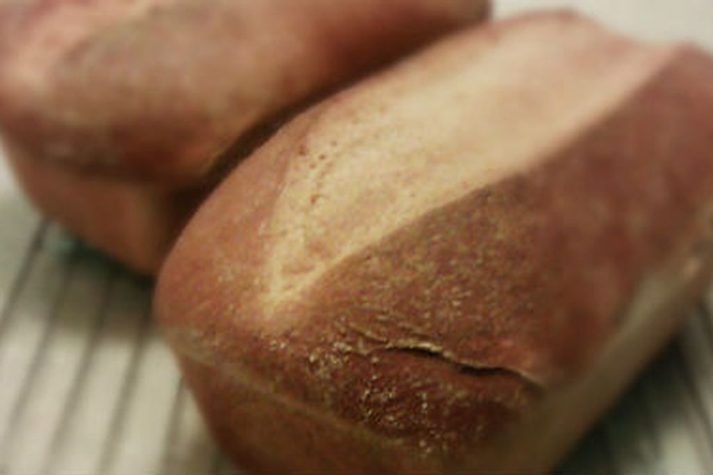Homemade wheat bread