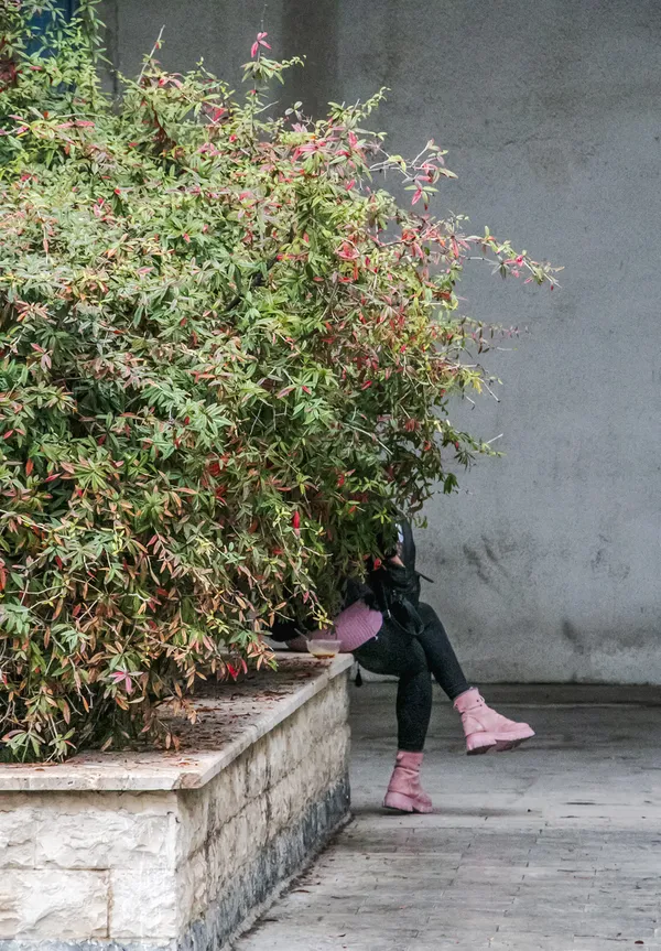 Flower girl thumbnail