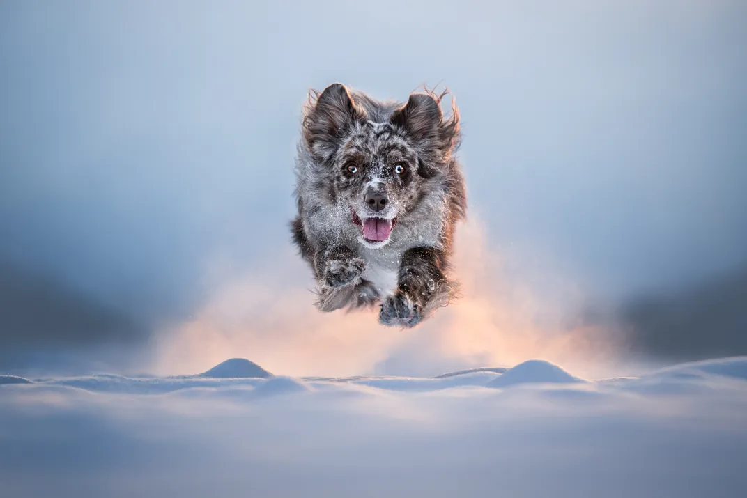 Winter Launch