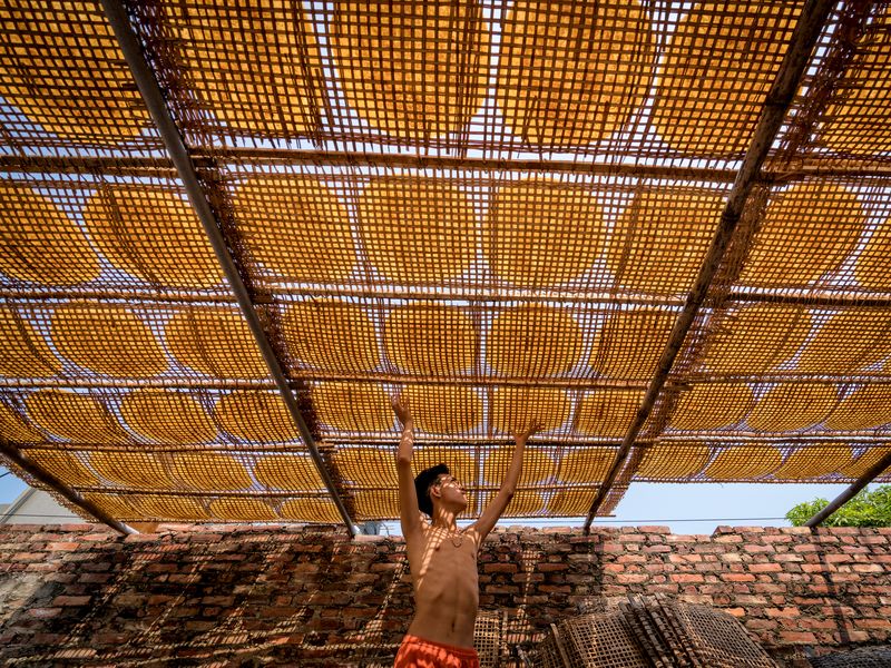 Essay about rice in the philippines picture