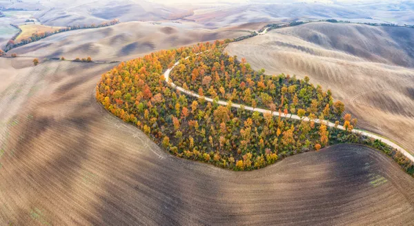 THE AUTUMN IN VAL D'ORCIA thumbnail