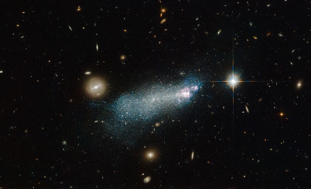 16687049219_e53888c186_o.jpg