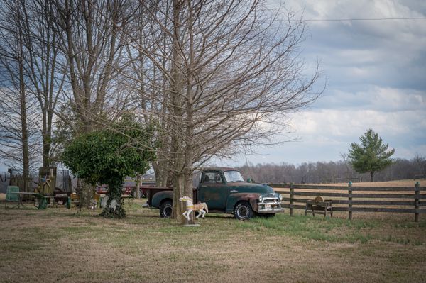 A yard in Kentucky evokes nostalgia thumbnail