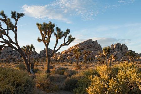 Sunset near Turtle Rock, Joshua Tree National Park. 