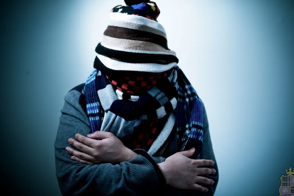 bundled.jpg